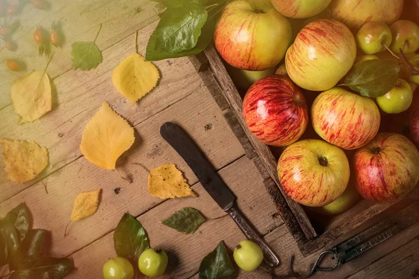 Manzanas verdes y rojas sobre mesa de madera. foto tonificada —  Fotos de Stock