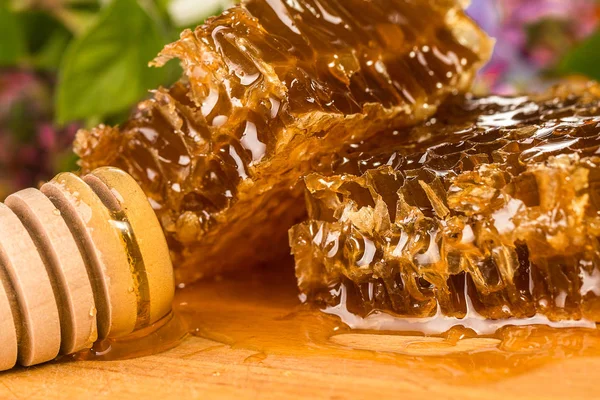 Natural organic honey  on a table, closeup — Stock Photo, Image
