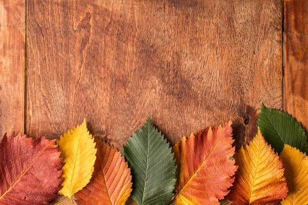 Grunge háttér őszi levelek — Stock Fotó