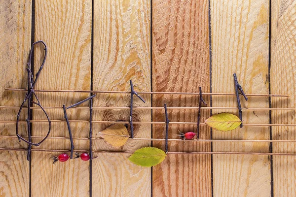 Nota anlayışı. Ahşap müzik notaları ve yaprakları