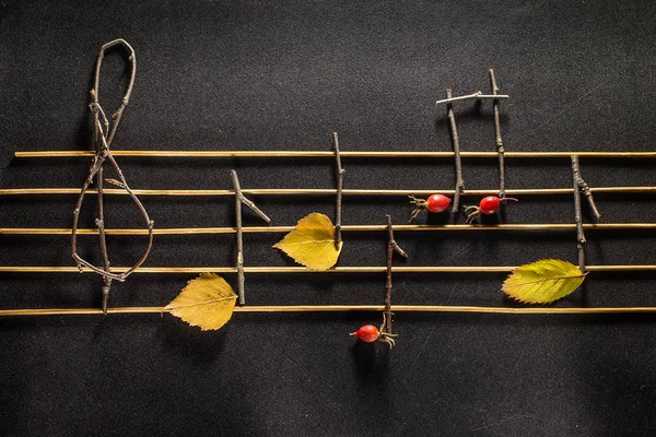 Концепция музыкальных нот. Деревянные ноты и листья . — стоковое фото