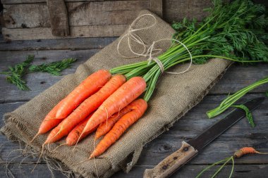 Rustik tablo taze organik havuç
