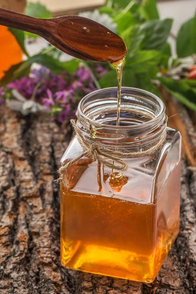 Honing kom met Beer en vloeiende honing — Stockfoto
