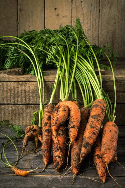 Fresh Organic Carrots  on wooden background — Stock Photo, Image