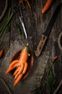 Eski bir ahşap masa üzerinde olağandışı havuç.