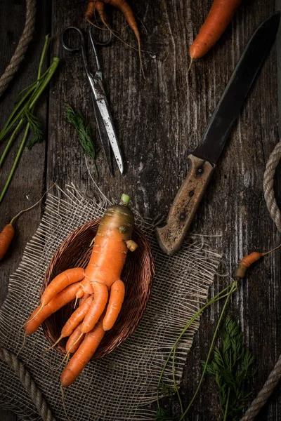 Eski bir ahşap masa üzerinde olağandışı havuç.