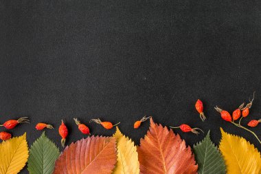 Bir kara tahta sonbahar yaprakları