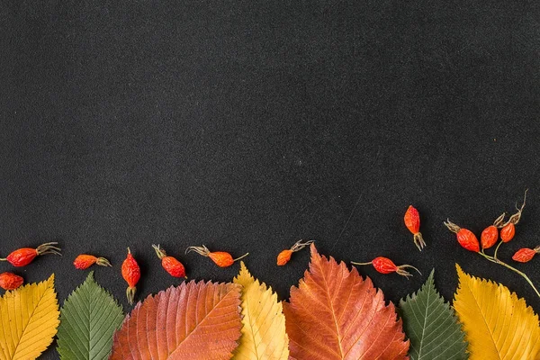Bir kara tahta sonbahar yaprakları