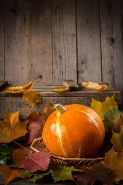 Rustik ahşap masa üzerinde sarı kabak.