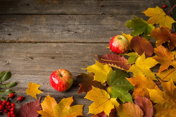 Dos manzanas y hojas de otoño sobre fondo de madera —  Fotos de Stock