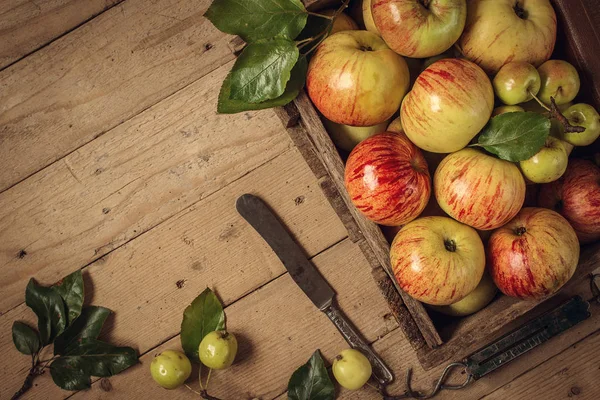 Composición con manzanas frescas sobre mesa vieja. foto tonificada —  Fotos de Stock