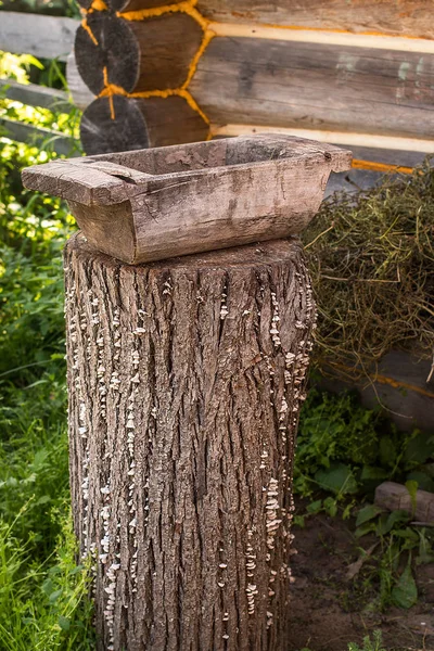 Old trough in the  garden. — Stock Photo, Image
