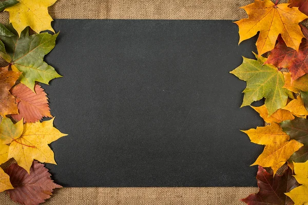 Frame of autumn leaves on chalkboard background.