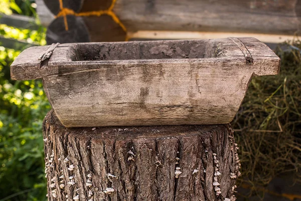 Old trough in the  garden — Stock Photo, Image