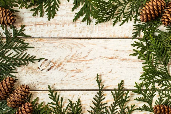 Marco de luz de Navidad decorado con ramas de abeto y cono de pino — Foto de Stock