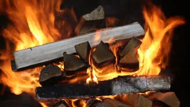 Burning firewood in the fireplace close up — Stock Video