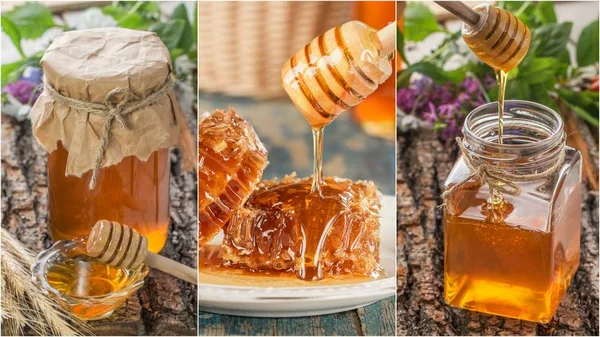 Collage van honing en honingraten. Verzameling van honing — Stockfoto