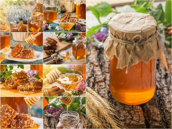 Collage van honing en honingraten. Set van honing — Stockfoto