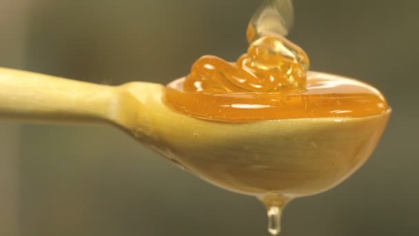 Honey on a wooden spoon — Stock Video