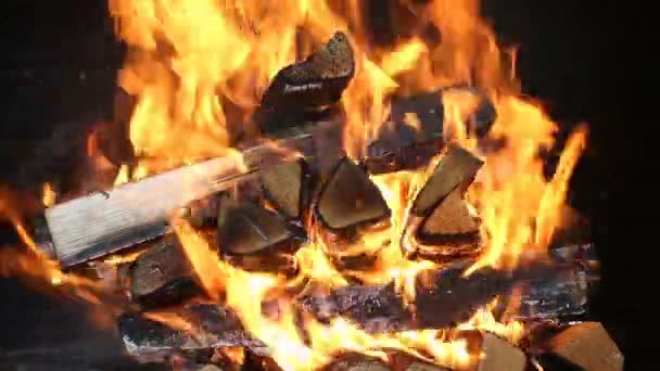 Burning firewood in the fireplace close up — Stock Video