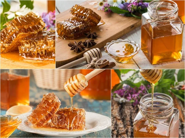 Collage from honey and honeycombs. Set of honey — Stock Photo, Image