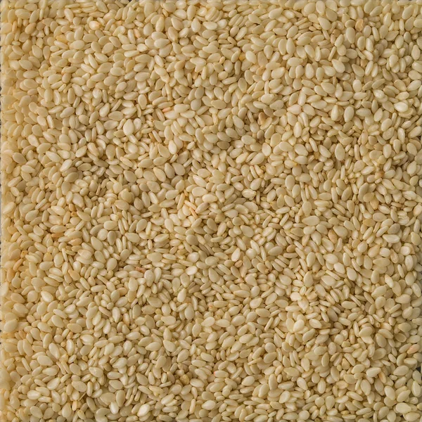 Fundo de sementes de gergelim branco e texturizado. Vista superior — Fotografia de Stock