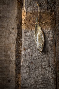 Bir ip üzerinde eski kurullarında kurutulmuş balık 