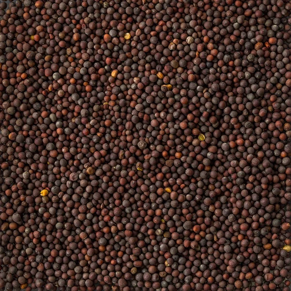 Textura de fondo de una pila de semillas de mostaza negra . —  Fotos de Stock