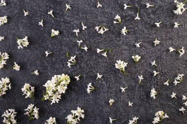 Beautiful lilac flower on gray concrete background, flat lay
