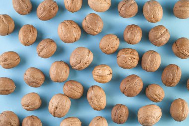 Mavi arka planda cevizler. Parlak bir arka planda bir sürü ceviz. Sağlıklı diyet kompozisyonu. Beyin için sağlıklı yiyecekler, vejetaryen yiyecekler. Üst Manzara Düz Yat.