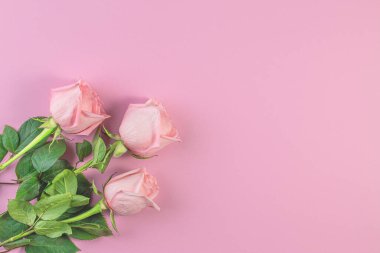 Pastel pembe arka planda pembe güller. Doğum günü, Anneler, Sevgililer, Kadınlar, Düğün Günü konsepti.