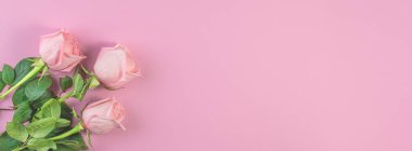 Pastel pembe arka planda pembe güller. Doğum günü, anneler, sevgililer günü, kadınlar, düğün günü konsepti. Bahar mevsimi. Minimum Tatil Kompozisyonu. Boşluğu Kopyala