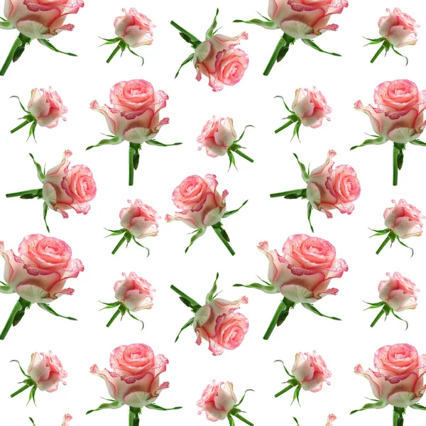 Wallpaper Nahtlose Rosa Blumenmuster Auf Weißem Hintergrund Nahtlose Rosa Rosen — Stockfoto