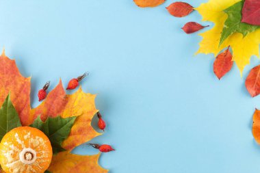 Creative Top view düz sonbahar konsepti mavi arka planda yer almaktadır. Sonbahar bayrak şablonu. Sonbahar kavramı