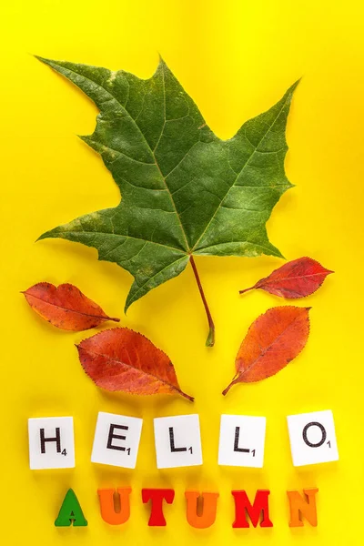 Las Palabras Hello Autumn Con Hojas Otoño Colores Creative Top —  Fotos de Stock