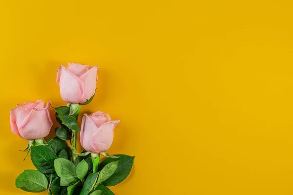 Rosas Cor Rosa Fundo Amarelo Pastel Aniversário Mãe Valentim Mulheres — Fotografia de Stock