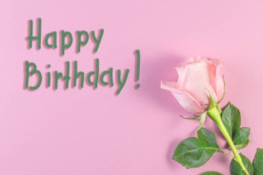 Pastel pembe arka planda pembe güller. Doğum Günü