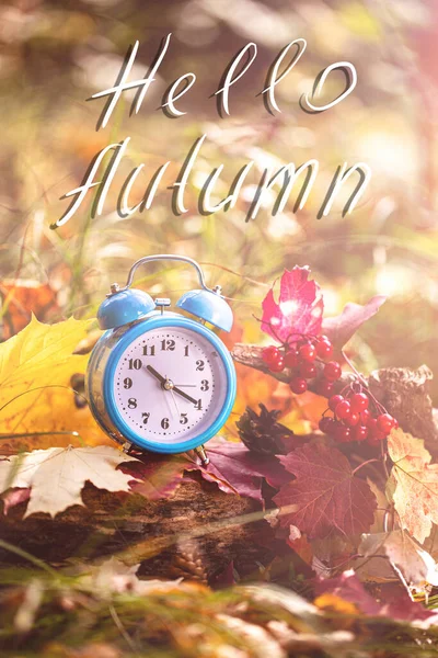 HELLO AUTUMN. Vintage alarm clock and maple tree leaves in autumn forest.