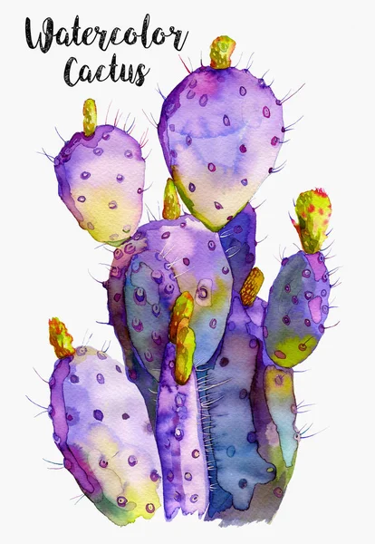 Aquarel tropische tekenen met cactus — Stockfoto