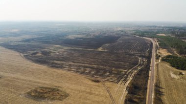 Orman ve arazi yangını. Kuru çimen yanıkları, doğal afet. Hava görüntüsü. Yangından sonra, zemin siyah bir yanık ve kül tabakasıyla kaplanır. Yangın sonrası duman tarlası