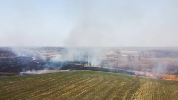 Forest and field fire. Dry grass burns, natural disaster. Aerial view. After the fire, the ground is covered with a black layer of burning and ash. Smoke field after wildfire