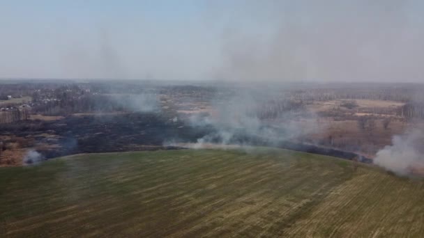 Feu de forêt et de champ. Brûlures d'herbe sèche, catastrophe naturelle. Vue aérienne. Après le feu, le sol est recouvert d'une couche noire de cendres et de brûlures. Champ de fumée après feu de forêt 