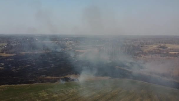 Erdő Mezei Tűz Száraz Égés Természeti Katasztrófa Légi Felvétel Tűz — Stock videók