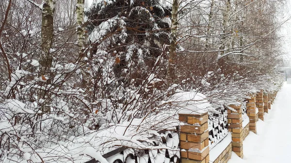 Cerca e árvores sob neve — Fotografia de Stock