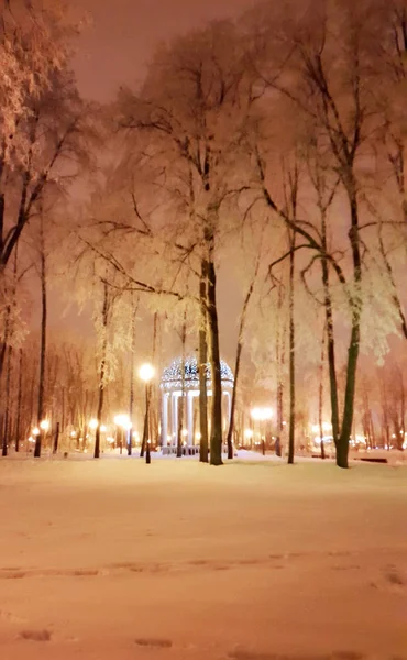 Pavilhão no parque de Kharkiv à noite - inverno 2017 — Fotografia de Stock