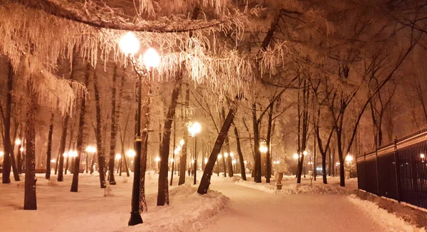 Lichter im Winterpark - Charkiw im Januar 2017 — Stockfoto