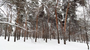Kışın kar altında park