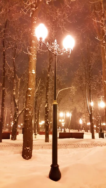 Straatverlichting in park in Charkov - Oekraïne winter 2017 — Stockfoto