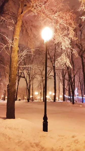 Lampe im Park in Charkiw - Ukraine Januar 2017 — Stockfoto