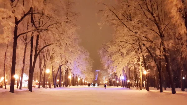 Parque de Kharkiv no inverno de 2017 — Fotografia de Stock